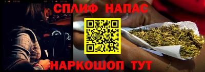стаф Моздок