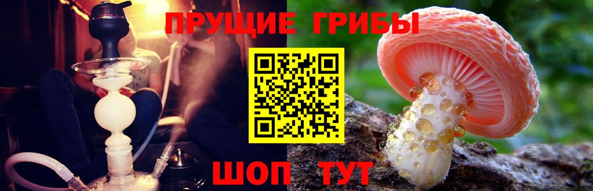Галлюциногенные грибы Psilocybe  Псилоцибиновые грибы мухоморы  Вход с VPN  Удомля 